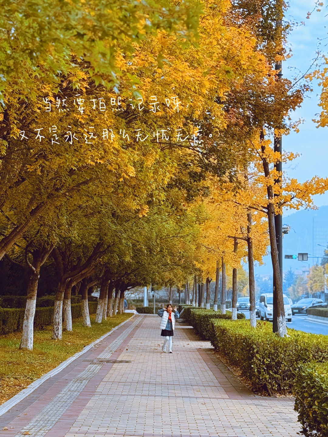 走过橙黄秋绿的晚秋，忽而立冬，好好生活呀！