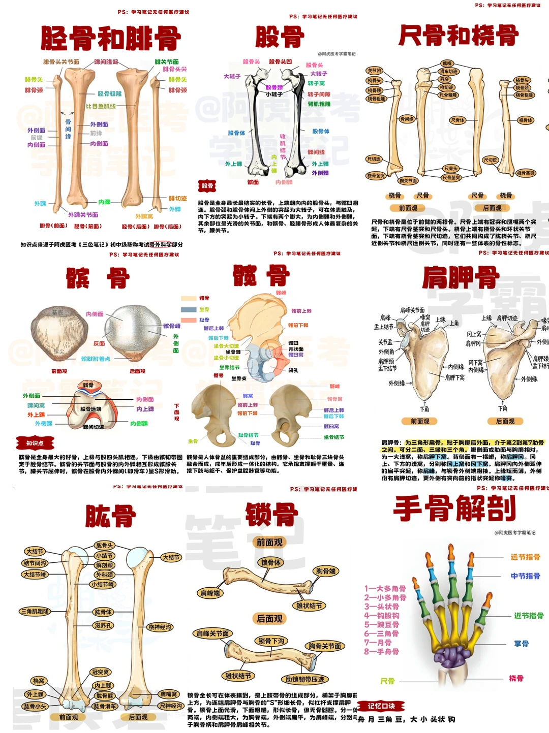阿虎医考笔记：各种各样的知识点大合集