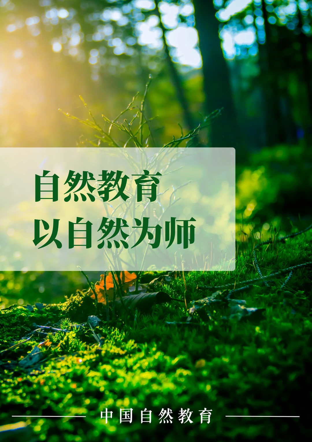 自然教育｜以自然为师