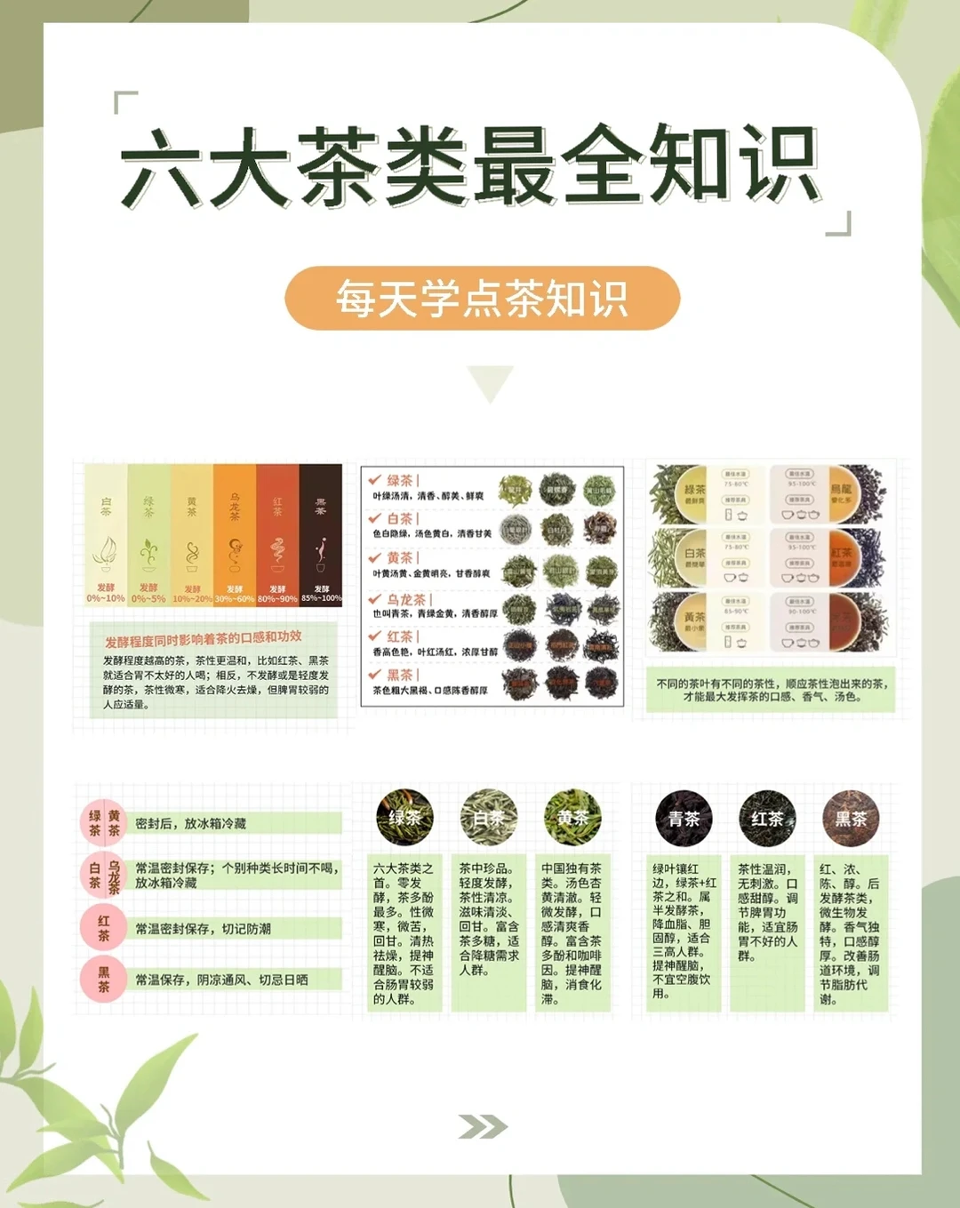 中国茶六大基本系分类及特点，看完秒懂