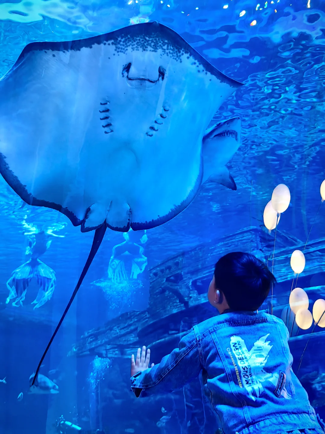 不算好玩但算好看好拍的海洋馆🐬
