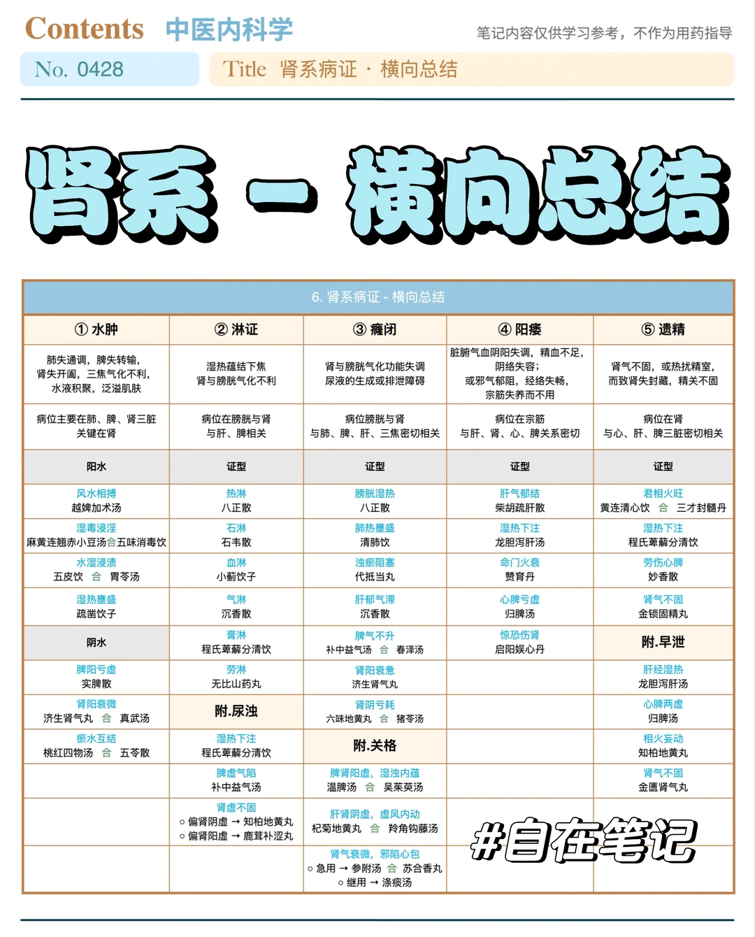 学习笔记428篇｜中内｜肾系·横向总结