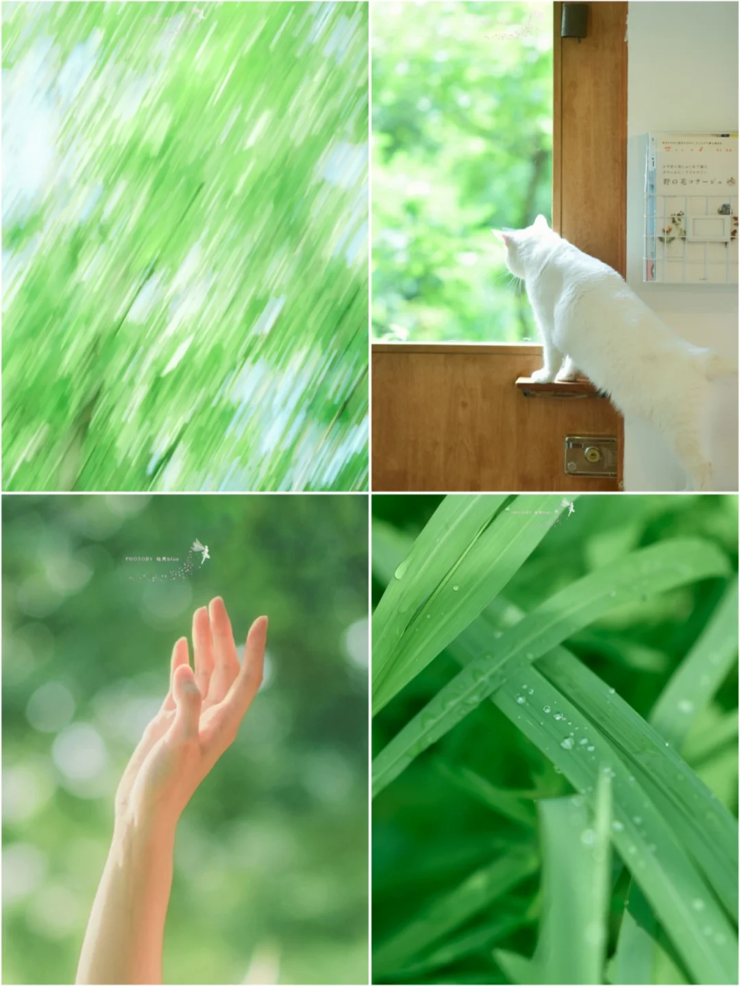 摄影/为什么没人看我还要坚持日更？