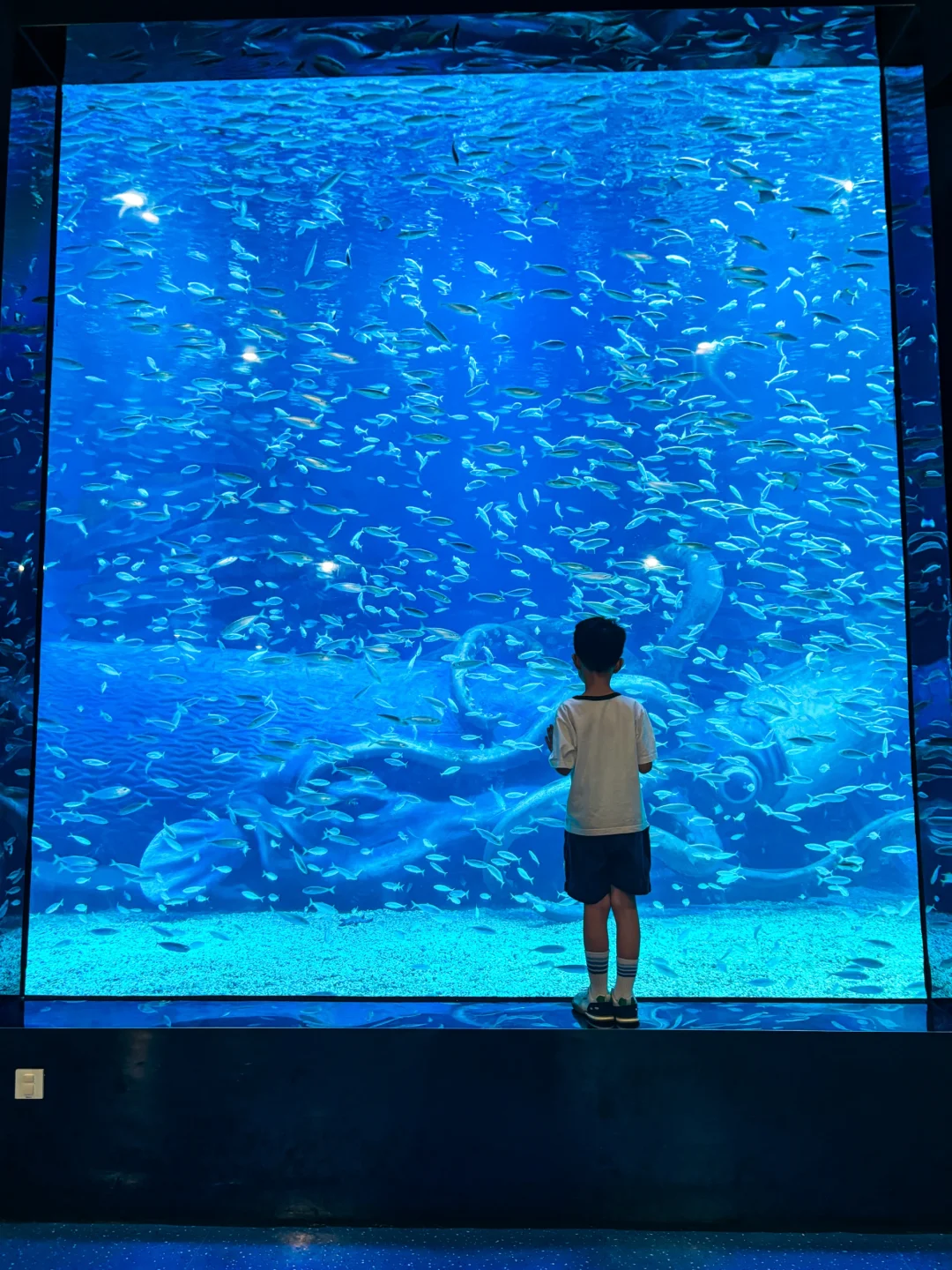 青岛本地人的1️⃣日游亲子路线❗不看后悔