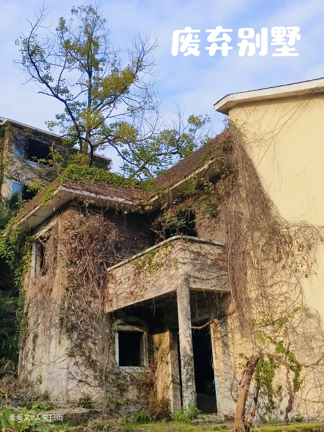 【巴南】隐蔽角落~被蔓藤