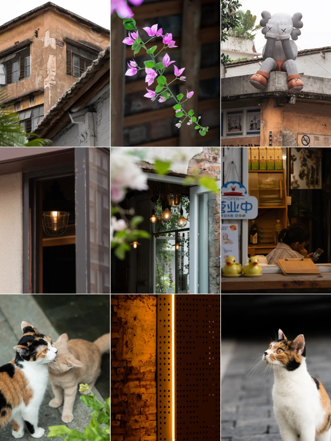 我拍到的治愈画面 |索尼A7m4调色