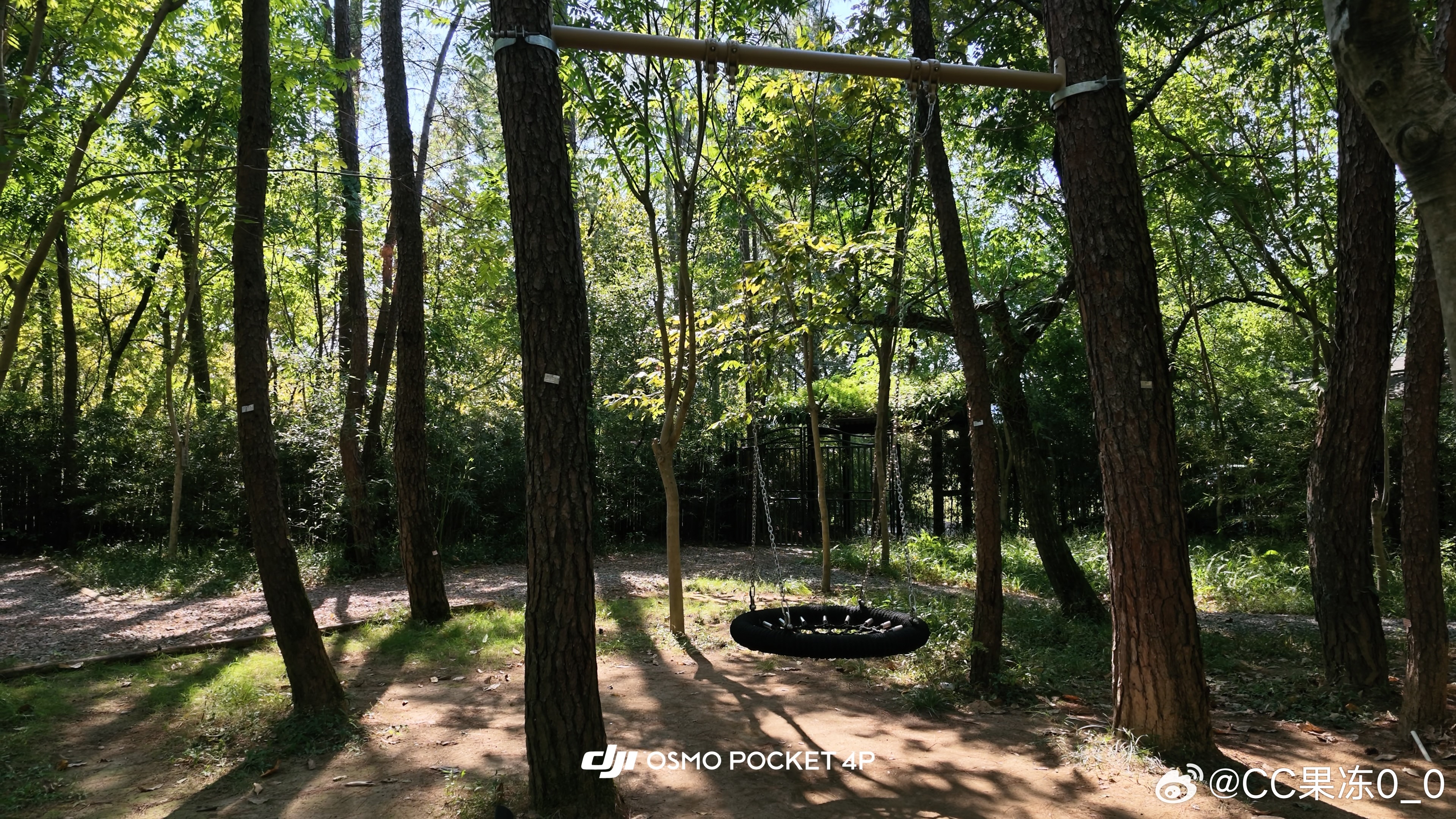 🍵｜寻秋天里的绿色🌳
#树林[超话]##大疆[超话]##记录生活[超话]##绿色系# ​