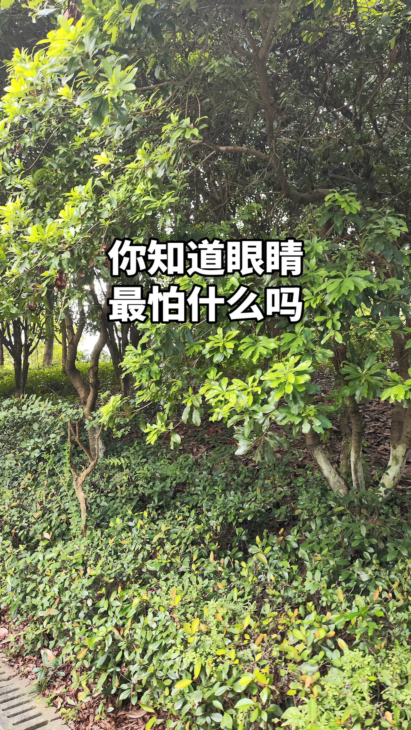 马刺还是太年轻了，关键失误&amp;绝杀不中，马刺主场再负尼克斯文班亚马错失绝杀 尼克斯105比104险胜马刺