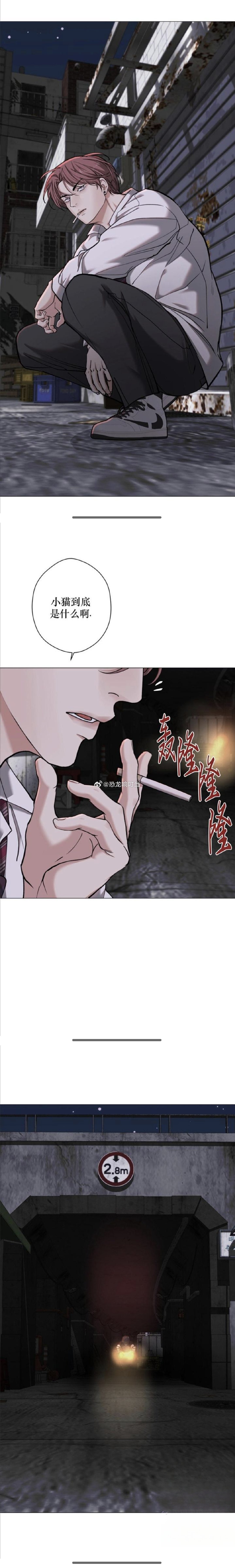 海岛人生  83 章  谁懂啊！堂堂黑帮老大，代号居然是小猫，专属特征...