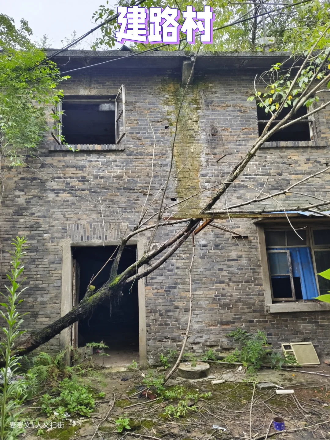 【大渡口】被遗忘的建路村只剩闲置老厂房
