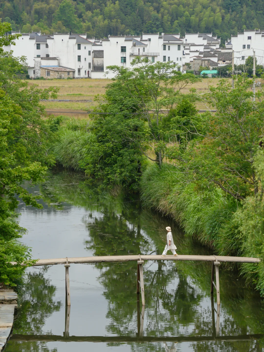✨婺源慢生活｜在徽州古建里治愈工伤✨