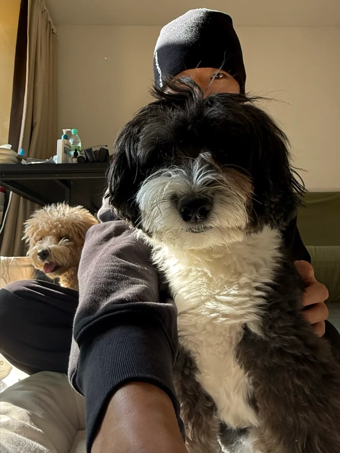 猜猜谁是韩国的