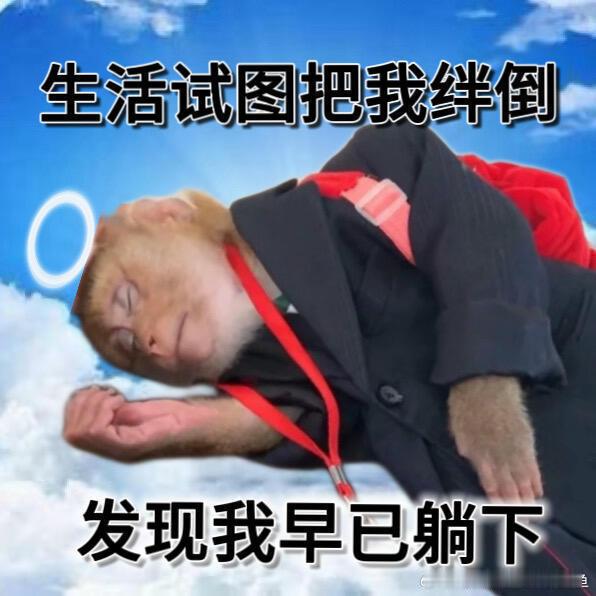 现在根本不敢点开抖音 
都是赵睿来雅安的视频（已被大数据）
最大的遗憾就是
喜欢的球星在自己所在的城市打球 也有票
就是没有时间[泪][泪]#赵睿[超话]#  ​