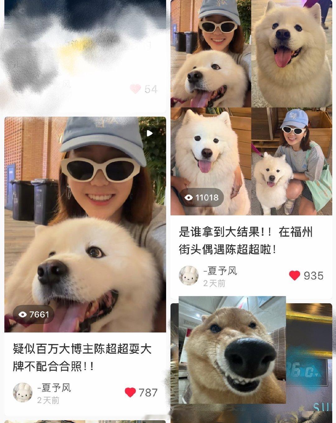 这几天消息太多了！我有空都看了！
大概三类：1.夸小豪哥2.夸陈超超3.感慨回味青绿（话说有人问我墨镜，我之前就说了我是比较佛系，张凌赫代言有需要的我是一直自用，陌森糖果镜哈[手指比心]其实11号我也穿的彪马……）

偶尔会搞点小带货玩玩就算了，没那么讲究
对接也费时间  ​