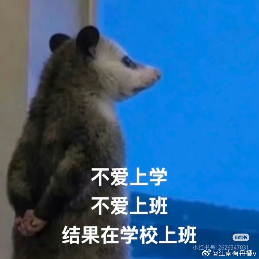 #最近是全体教师最脆弱的时候#
脑子里自动开始回放：早起签到、备课写教案、班级琐事、课间看管、家校沟通、教研会议、各种迎检材料。
还没正式上班，精神已经提前进入紧绷待命模式。
 
明明身体还在休息，精神已经提前上岗。
还没见到学生，心理内耗已经拉满。 ​