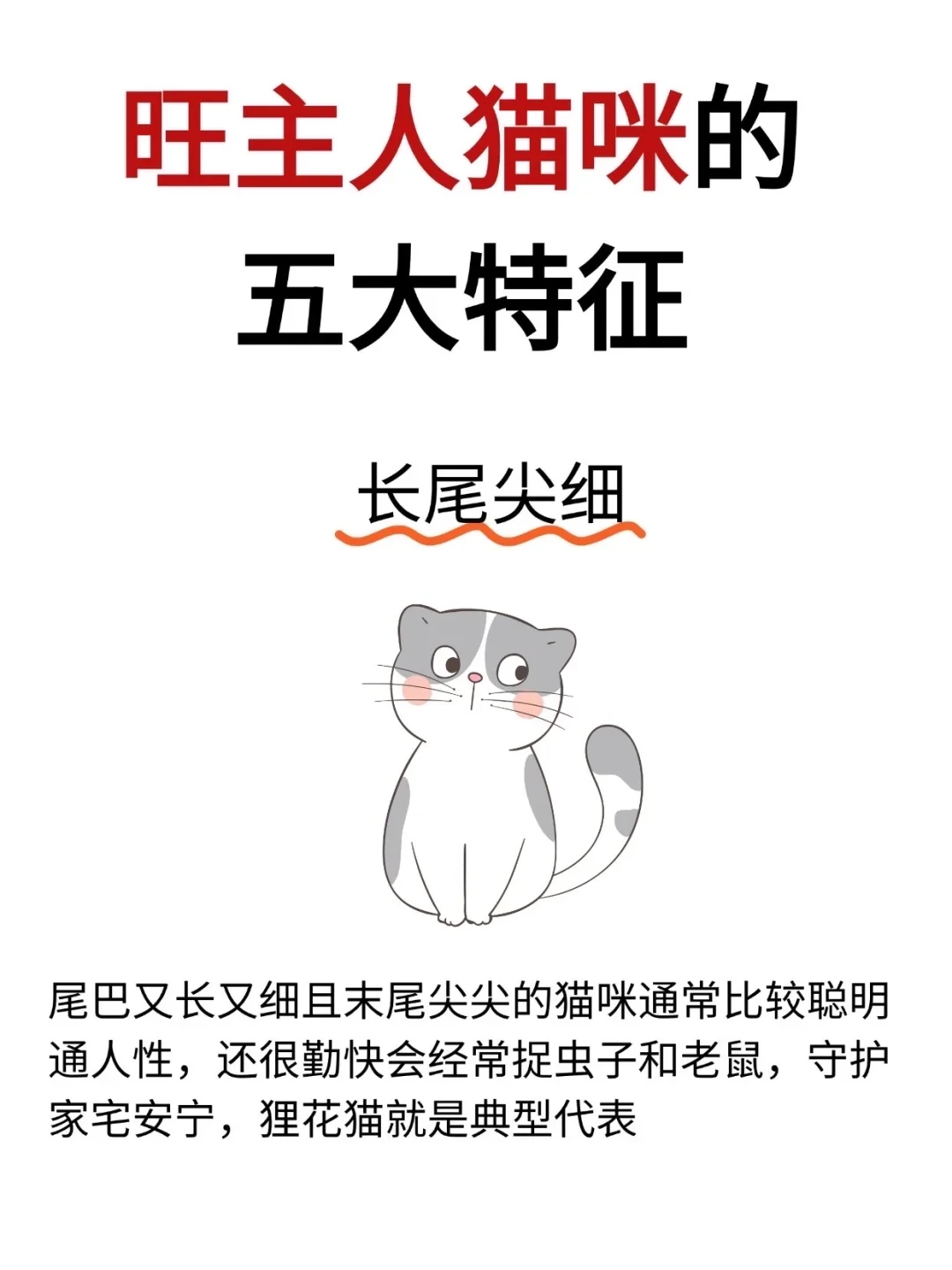 旺主人猫咪的五大特征