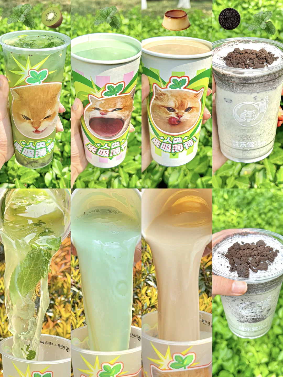 原地沦陷，这几杯凉到舌头不知道放哪里！