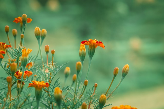 八十岁夫妻的拥抱，是晚年最好的“续命良药”。