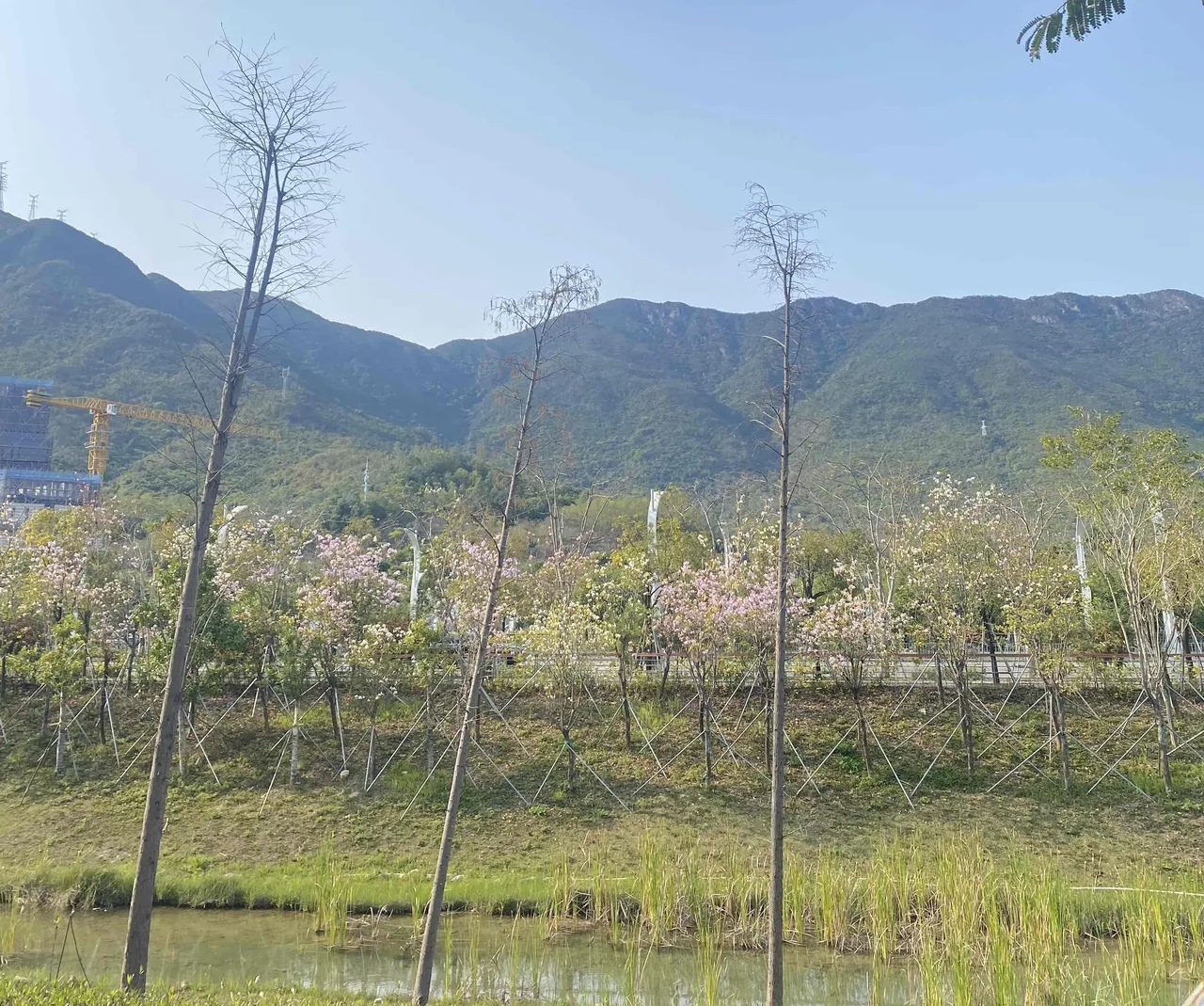 我有个大学同学，88年的，去年被公司优化之后，就再也没出去找工作。
 
我们前几