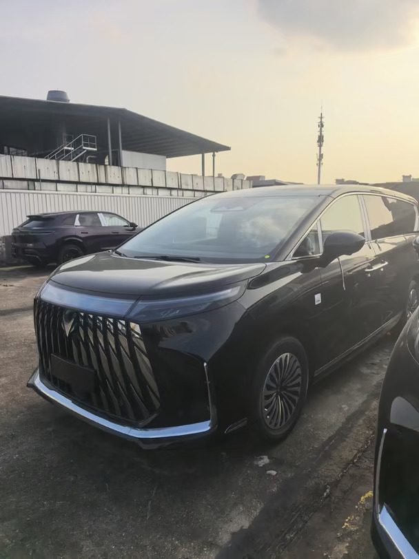 🚗极狐问道V9 1250 Ultra 稀缺现车