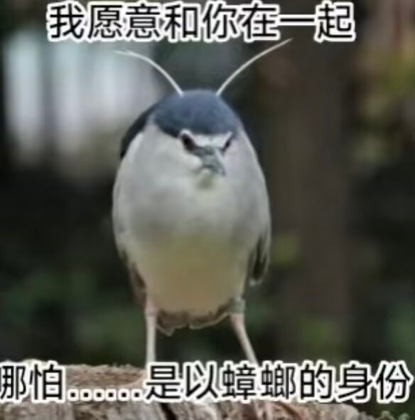 好想黄誉博 ​
