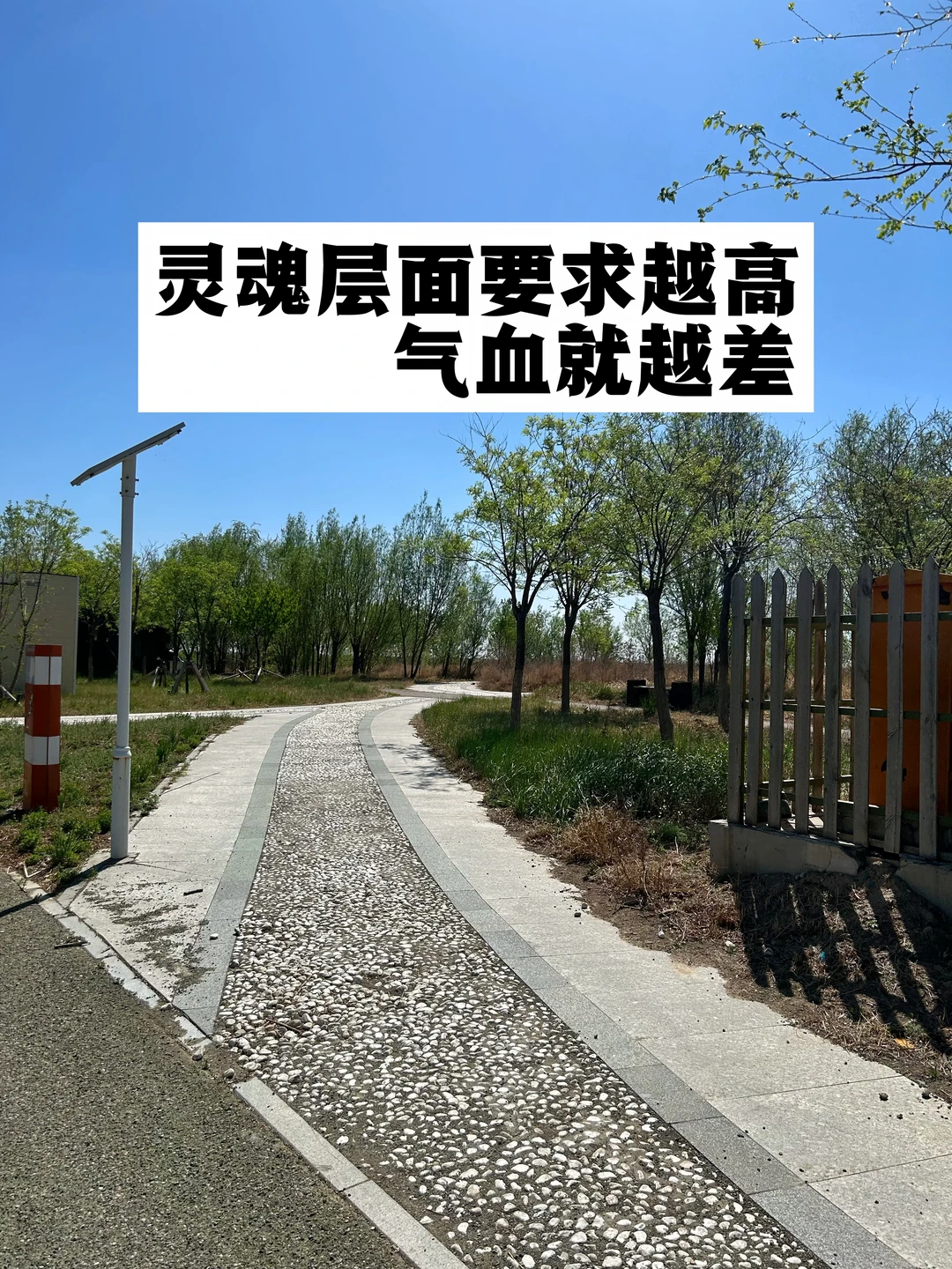 灵魂层面要求越高，气血就越差.