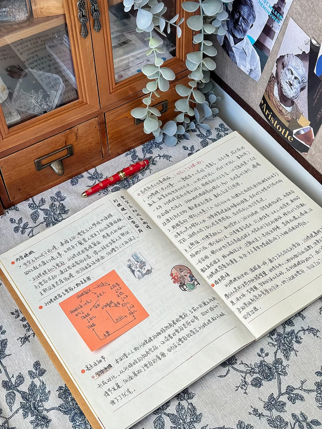 读书笔记|《红楼梦》第六回