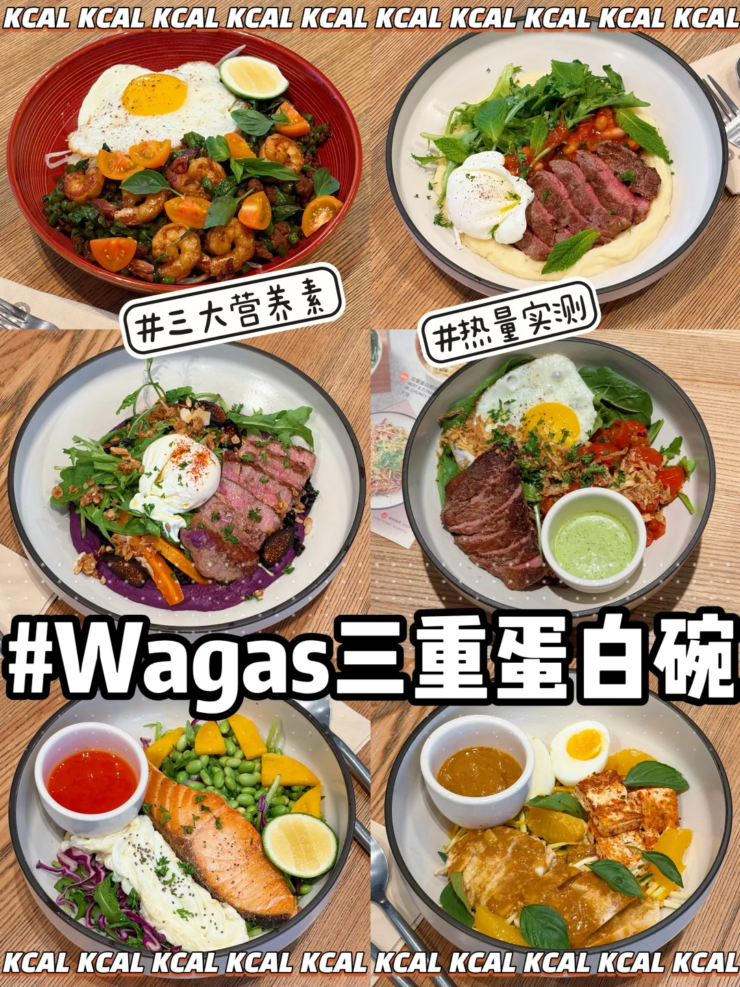 6款🥚三重蛋白能量碗全测评‼️wagas热量测评
