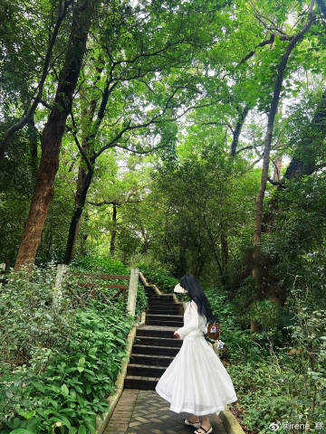 2026立夏· 越秀公园🍃