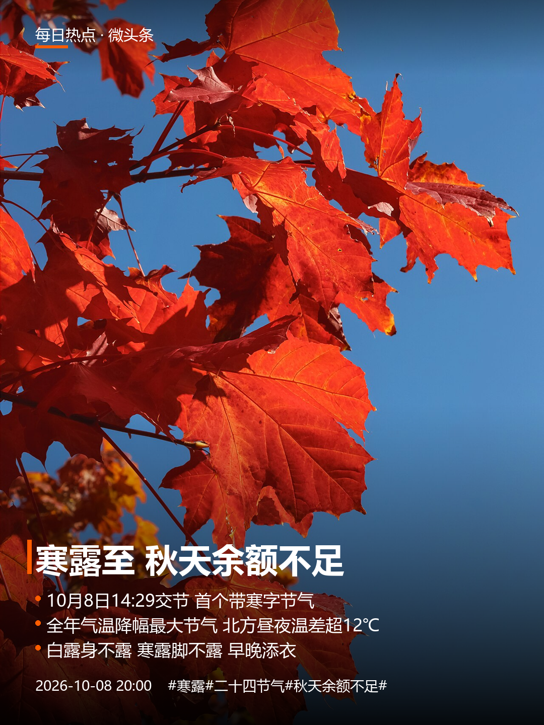 寒露：秋天余额不足，冬天开始加载
今天下午两点多，我妈从楼下上来，发了张照片：草