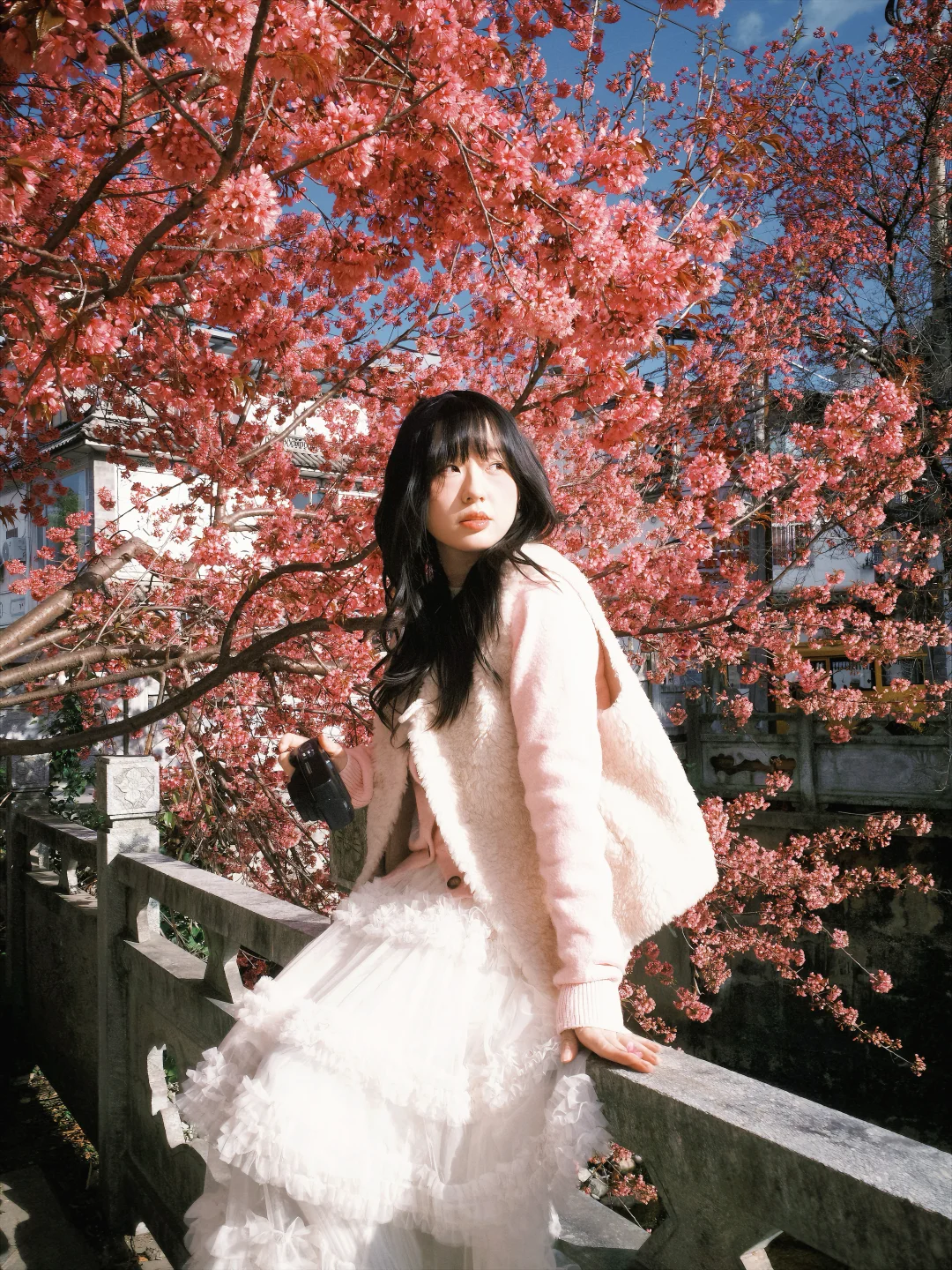 春天的花是冬天的梦‧₊˚🌸