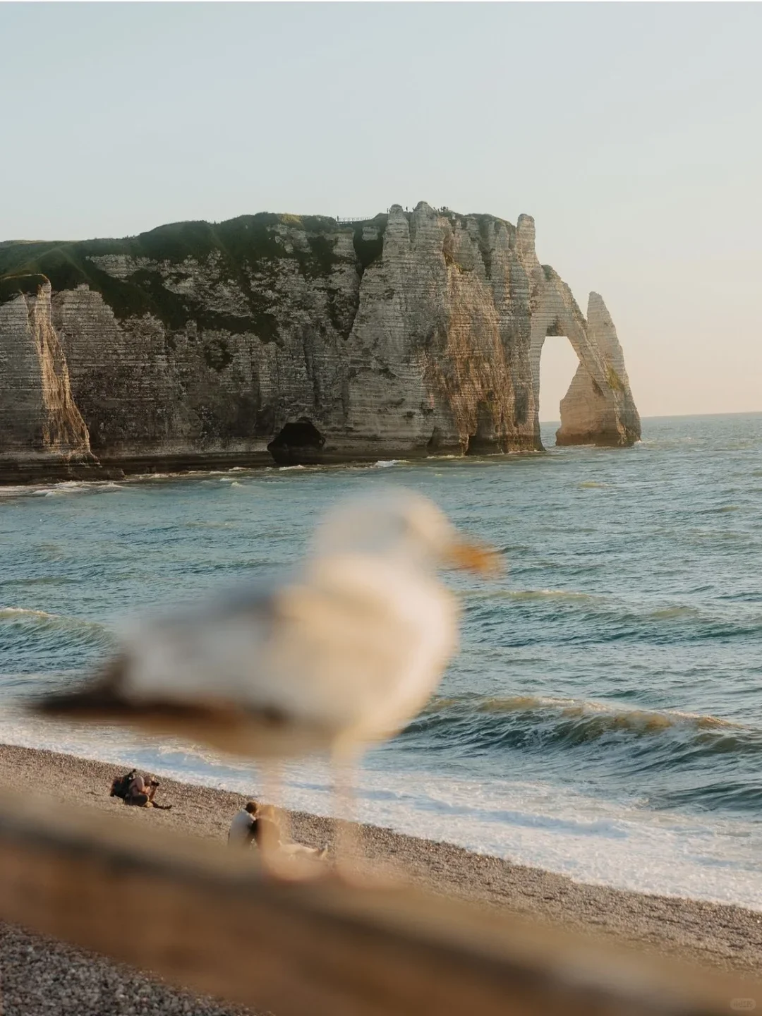 【镜头下的诗】Julia Nimke的光影世界✨