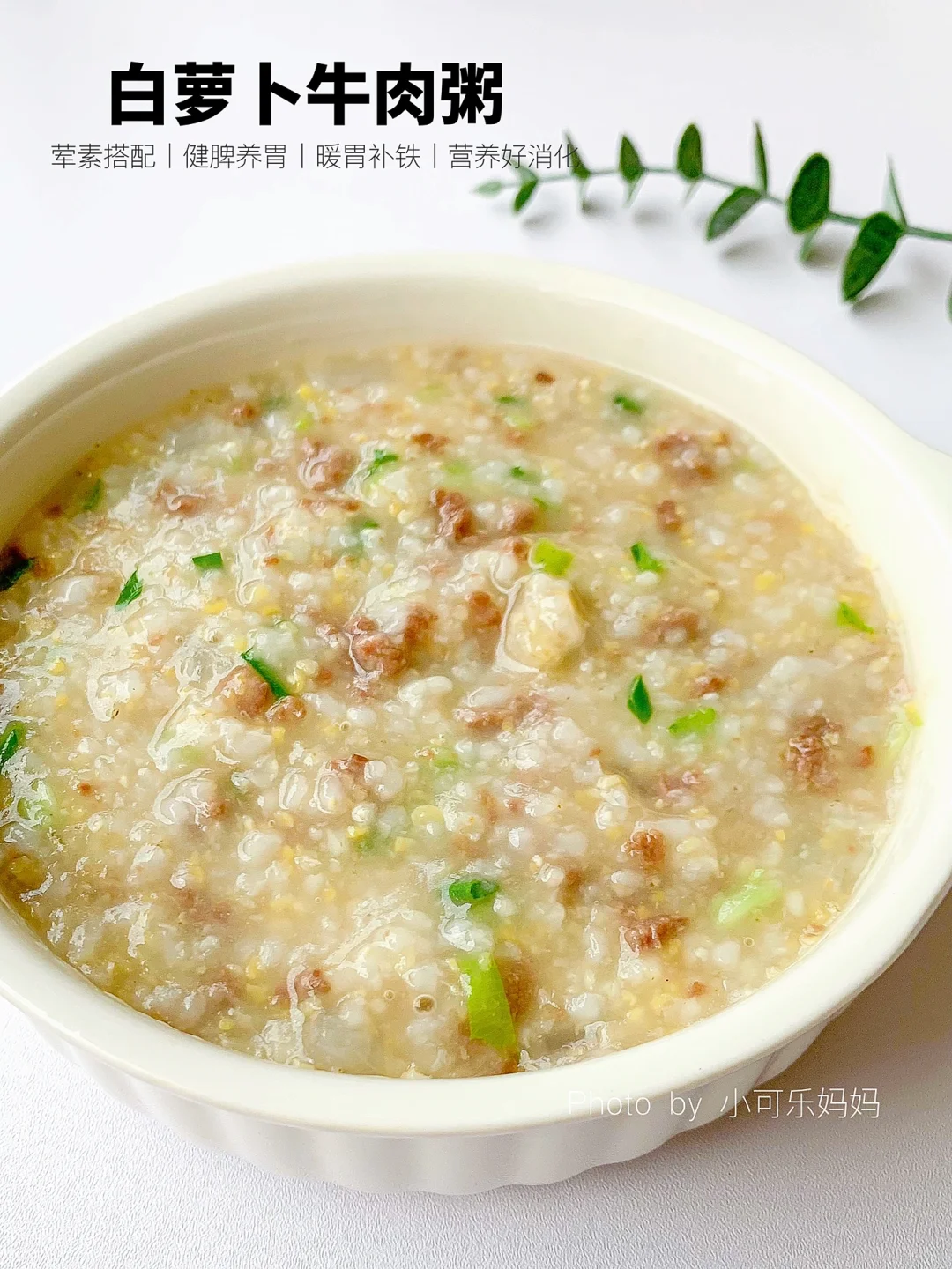 10m+宝宝辅食｜白萝卜牛肉粥🥣营养又暖胃