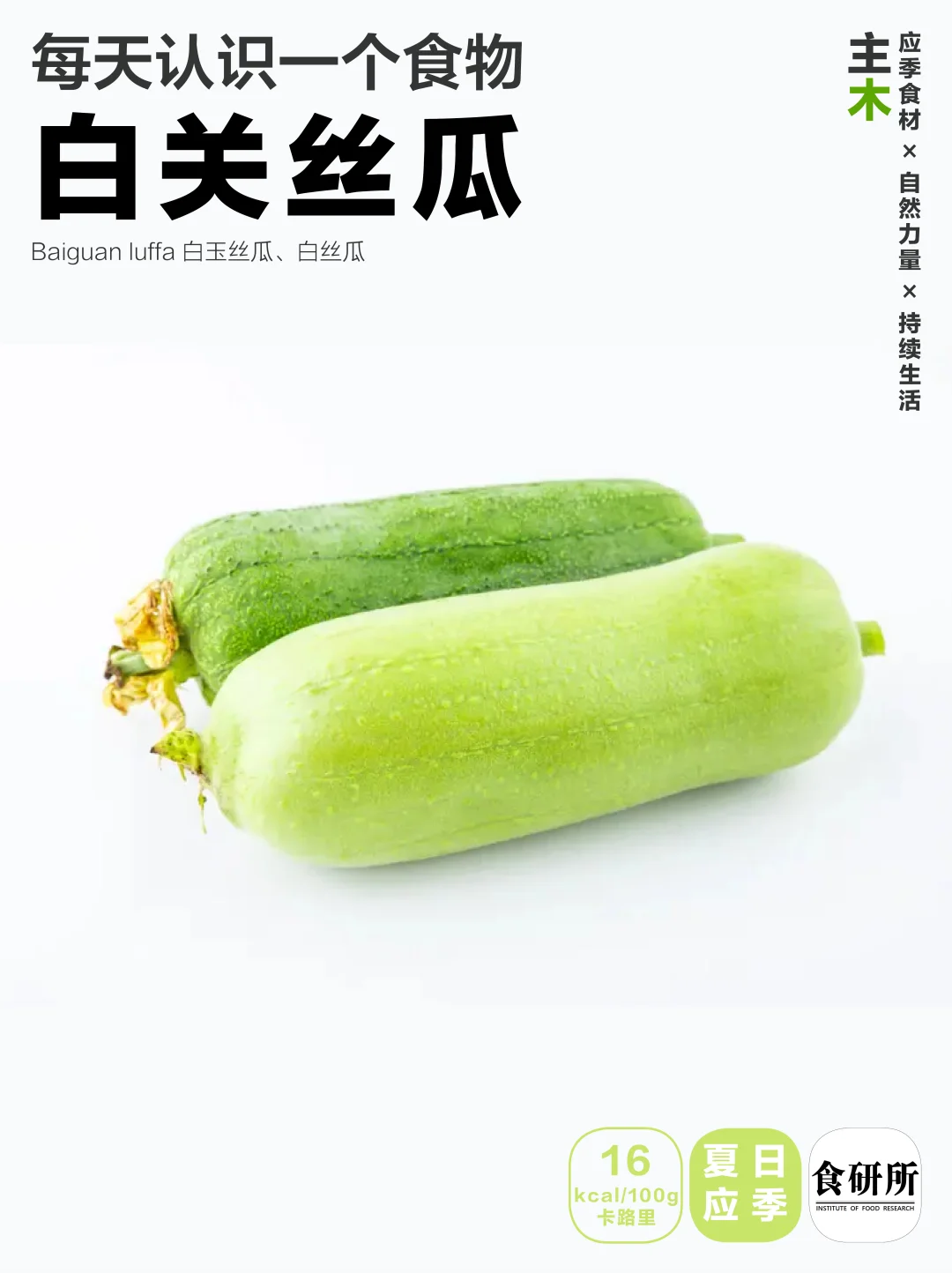 🥒🥒不爱丝瓜是因为没吃到白玉丝瓜🥒