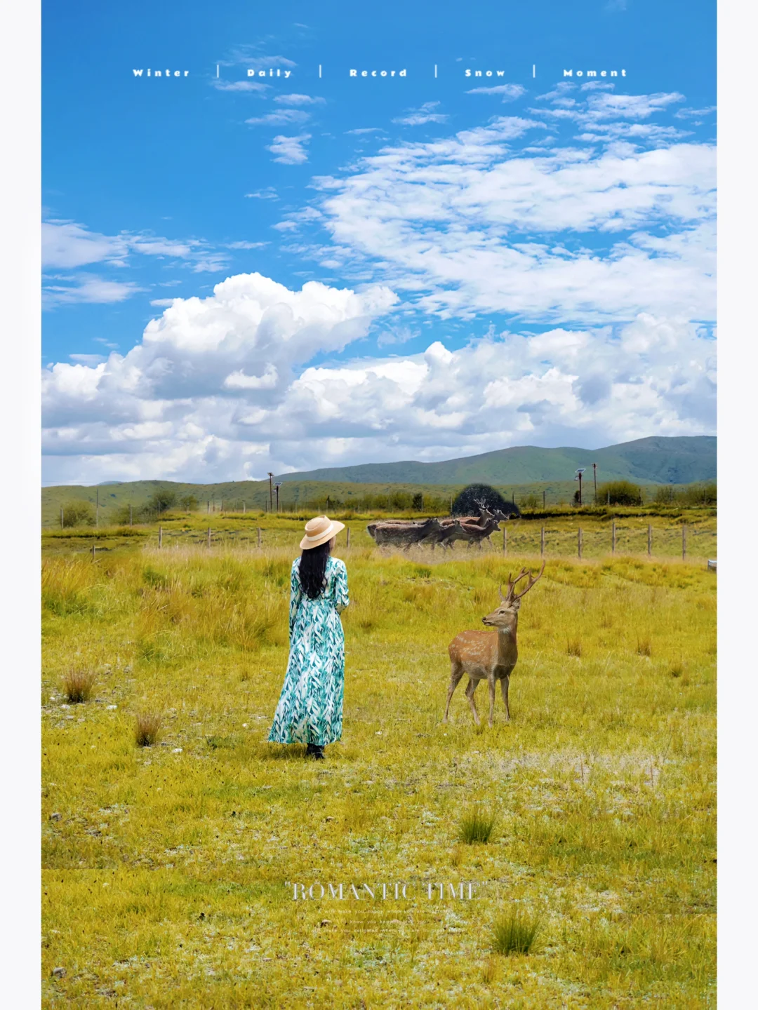 川西小奈良｜三天两晚探寻梅花鹿之旅