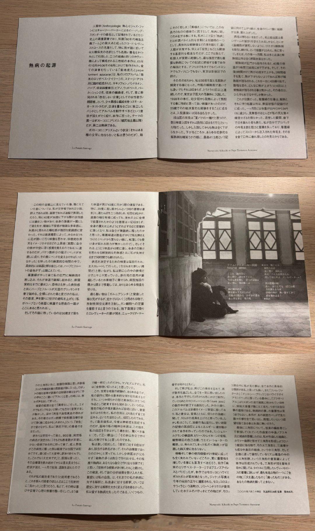 06年发行专辑『野生の思考』的小册子里 菊地成孔分享了一段自己患热病濒...