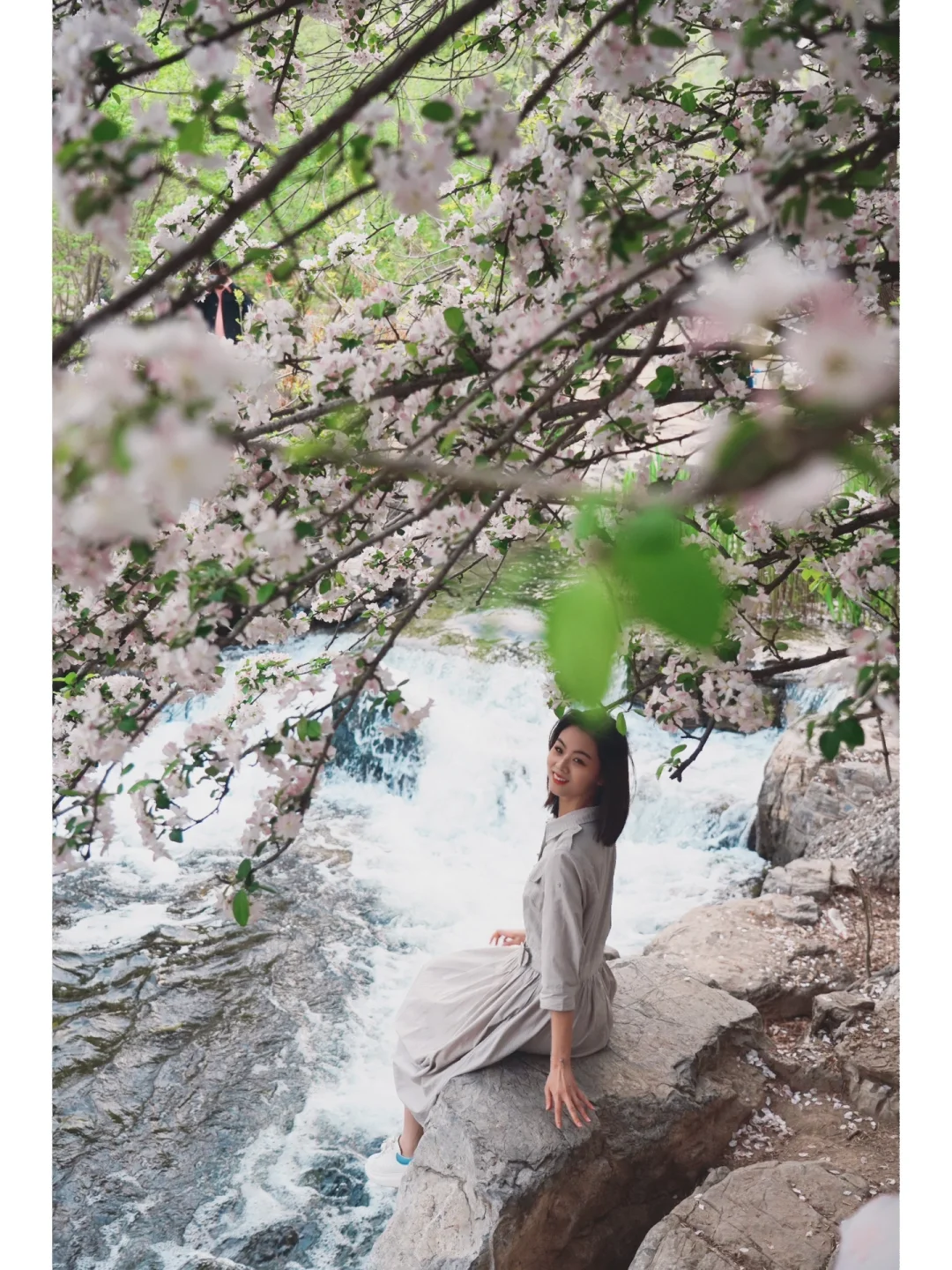 我发现了真正的海棠花溪‼️春日花海瀑布溪流