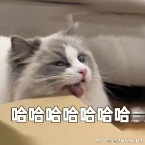 #95后乡村老师让AI给自己打下手#真的很佩服这位乡村老师，没有坐等现成工具，自己琢磨搭建AI工作台。把排座位、记录学生表现这些杂活交给AI，让老师回归教书育人本身。#陕西乡村老师手搓AI大脑管理班级# ​
