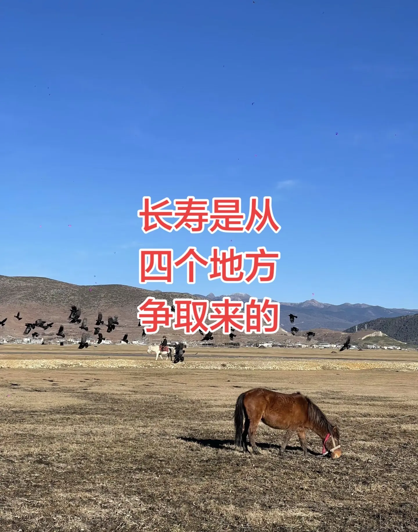 2.2亿欧元并列世界第一！哈兰德与亚马尔谁才是足坛真神？👑即战力与未来天赋的终极对决，属于00后的时代已来！⚽️ 哈兰德 亚马尔