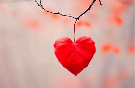 主要是由社会环境的变化、个人观念的转变以及婚姻关系的复杂性等多方面因...