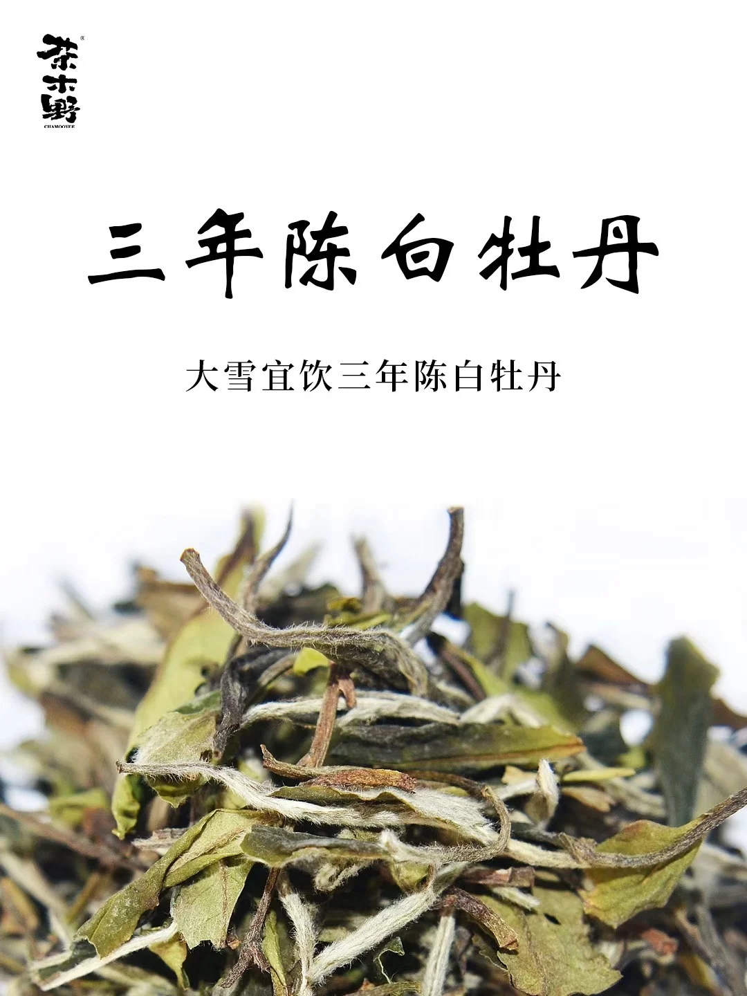 古法活动丨大雪节气喝茶指南，三年陈老白茶