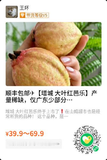咱家这个闻着臭臭吃着香香的增城芭乐又回来了