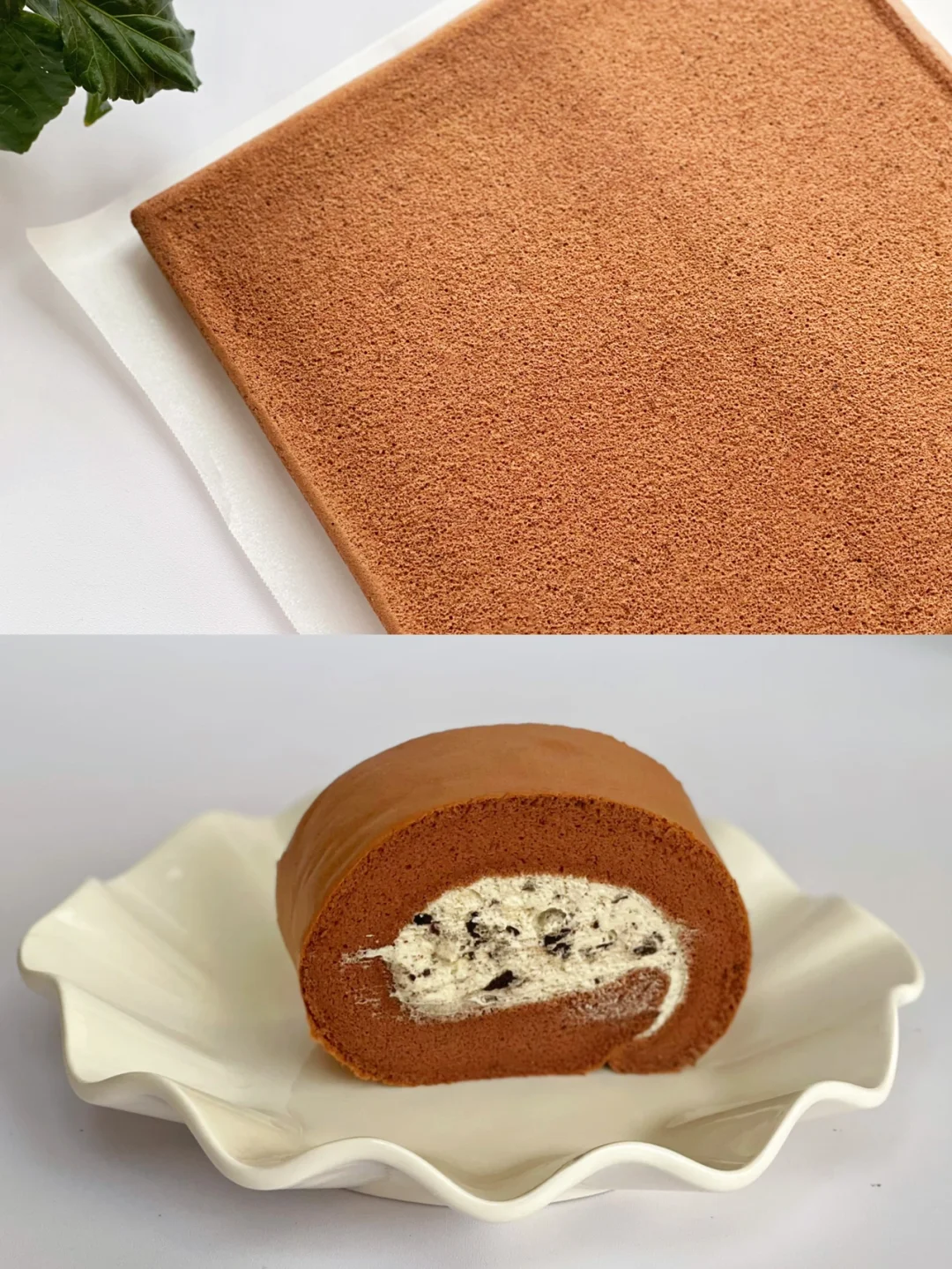 🍪锁死这款可可蛋糕卷｜完美毛巾面配方❗️