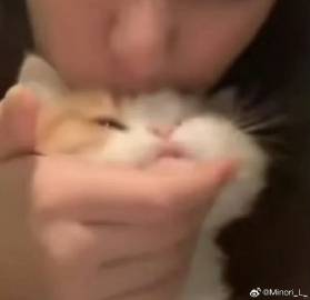 堂堂复活！<br />女网友是天使……（想跟人卖萌来着结果存的表情包不...