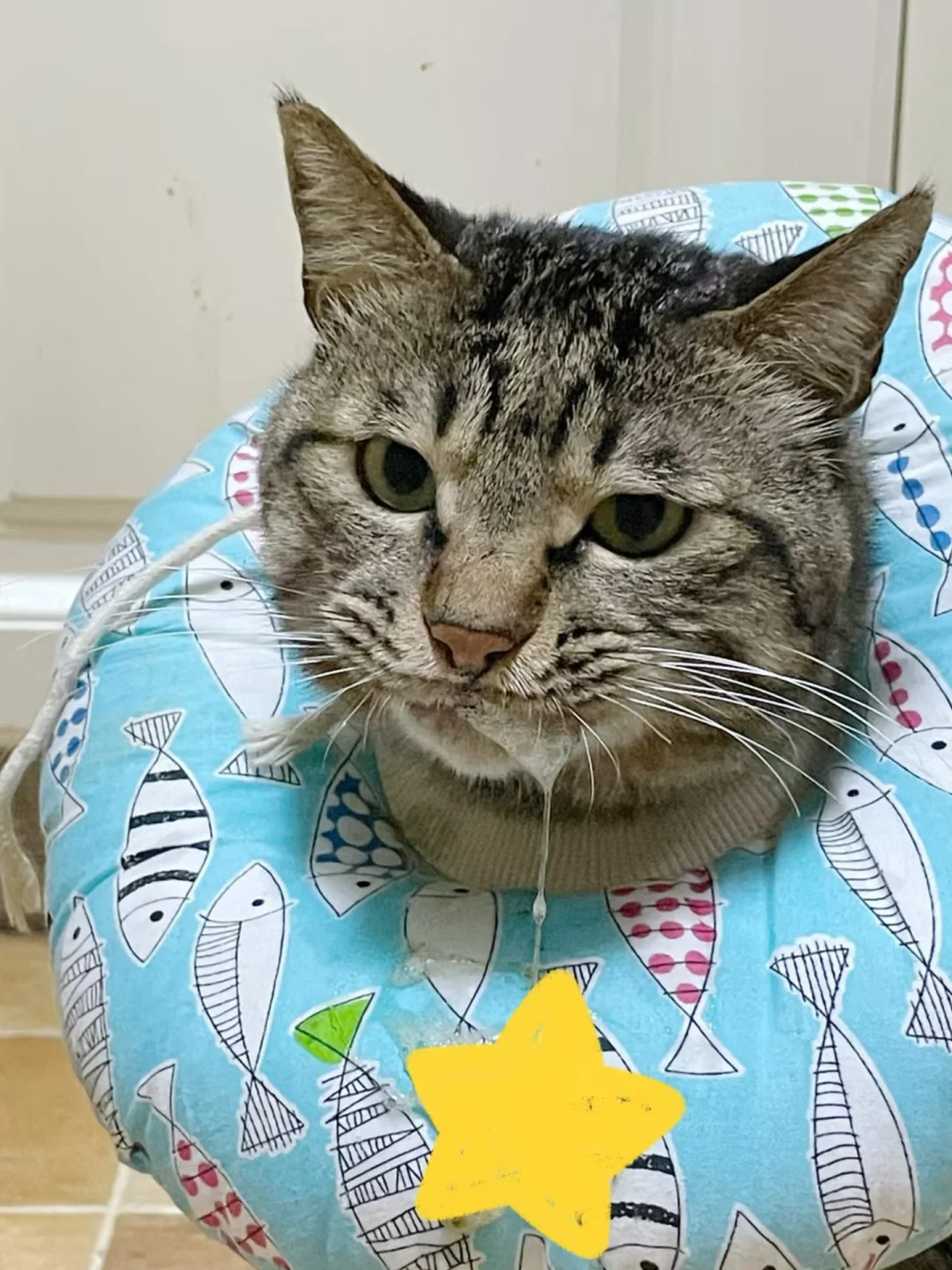 祖传的圈圈又用上了