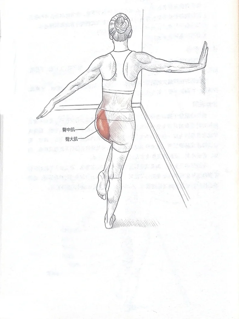 想要有翘臀🔥髋关节灵活必练拉伸