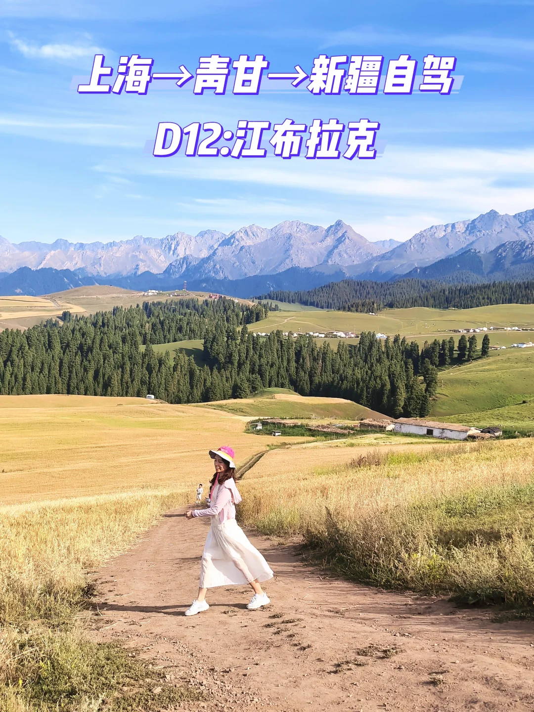 上海→青甘→新疆自驾D12:江布拉克