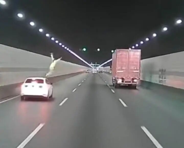 隧道内，一女子突然从副驾车窗翻到车顶跳车！今天这段视频热传，嘉兴交警：正在展开后续处置
【来源：都市快报】
今天，一段隧道行驶的轿车副驾女子突然爬出车窗跳车视频在网上传开。
视频画面显示，该女子从副驾车窗翻出至车顶往行车道上跳了下去，其他行车道上车辆紧急避让。
下午，橙柿互动记者核实到，事发位于钱江
