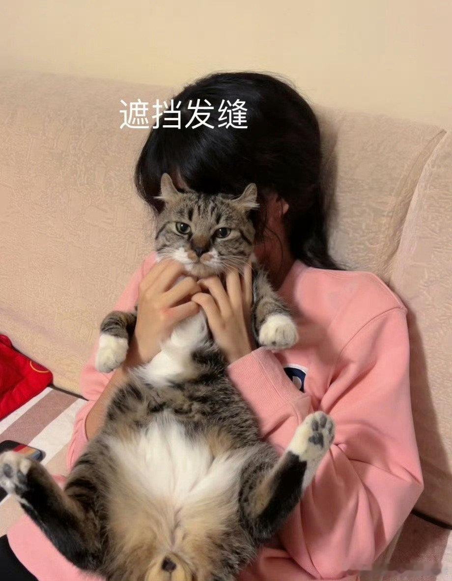 #旺仔小乔[超话]##旺仔小乔未来可期##你永远可以相信旺仔小乔# 
此处有两只猫猫[送花花][送花花]
今天军训请病假，在旁边观训的时候偷偷画的，感觉突然手感特别特别好啊[哈哈][捂嘴哭]
「模板 xhs  trillion.零元+」 ​