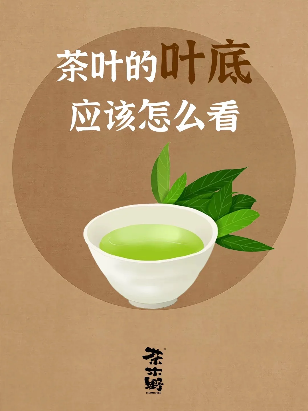 知识分享丨茶叶的叶底应该怎么看